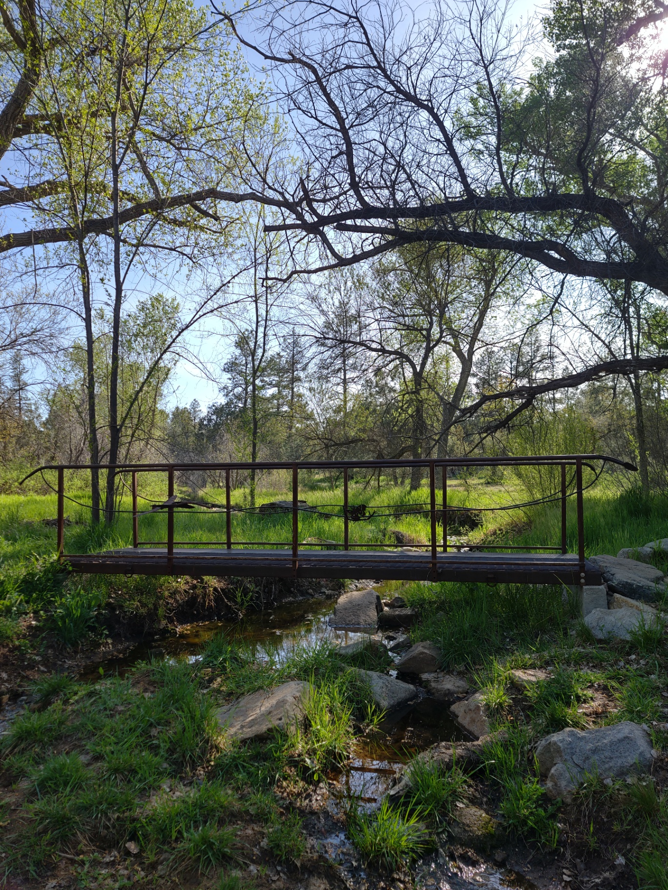 A wooden bridge over a gentle stream surrounded by spring trees