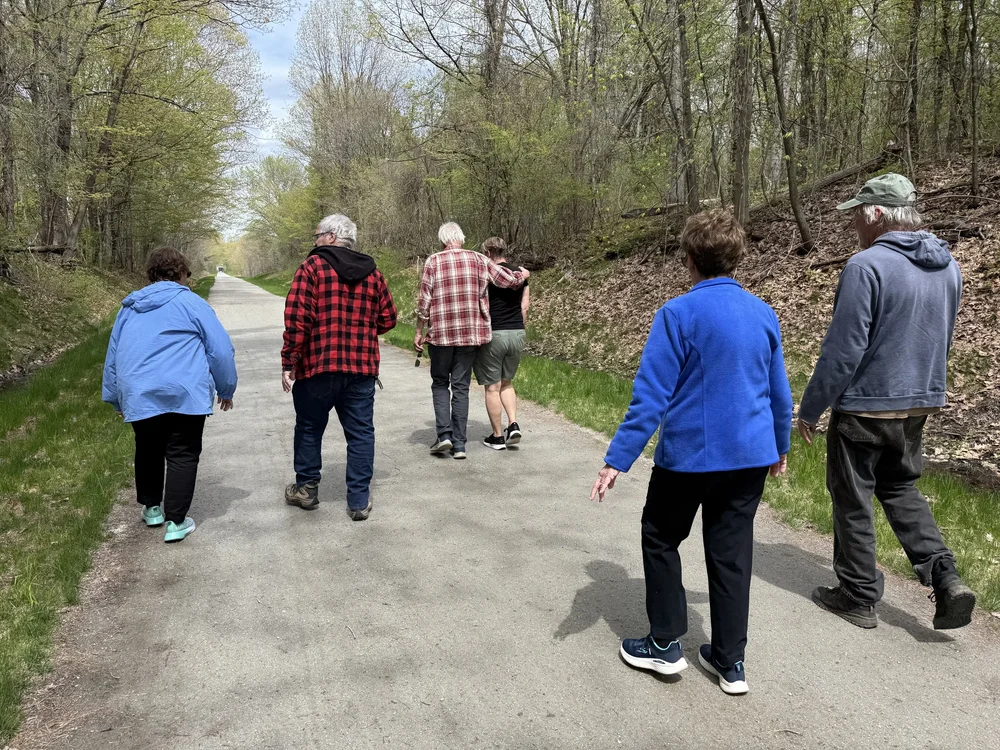 A small group walking together down a tree-lined trail in spring